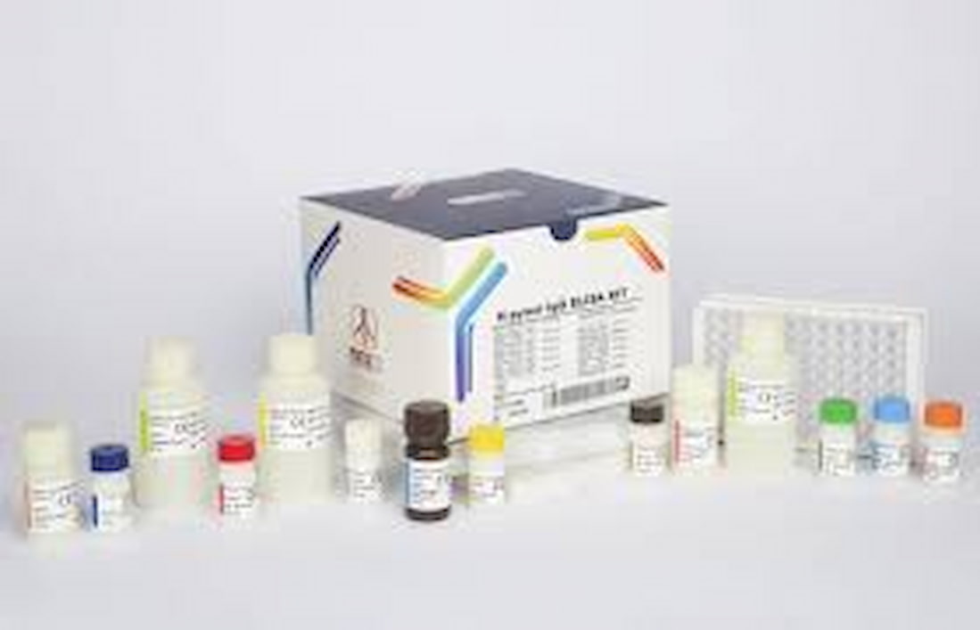 تصویر 1 از کیت آنتی ژن میکروب معده در طرح ها و مدل های متنوع